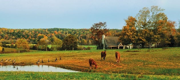 Morphine Rehab FacilityLindley NY